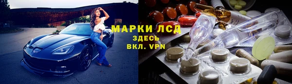 стафф Вяземский