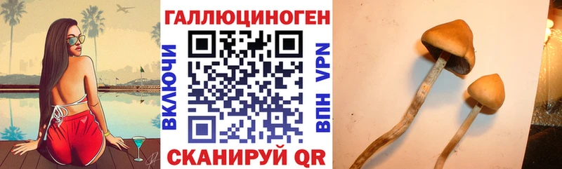 hydra зеркало  Отрадный  Галлюциногенные грибы Psilocybine cubensis 