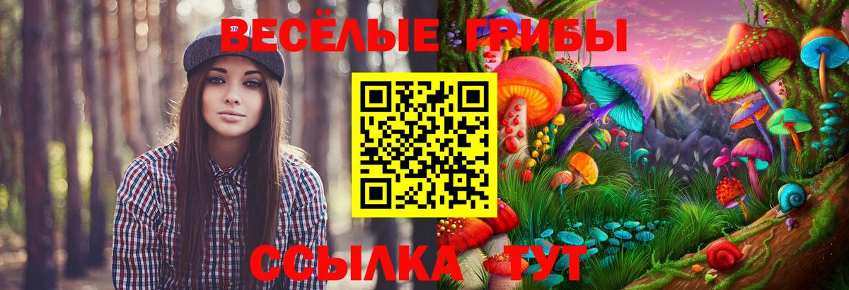Отрадный  закладки  Вход с VPN  Галлюциногенные грибы MAGIC MUSHROOMS 